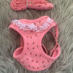 Cute small dog harness.